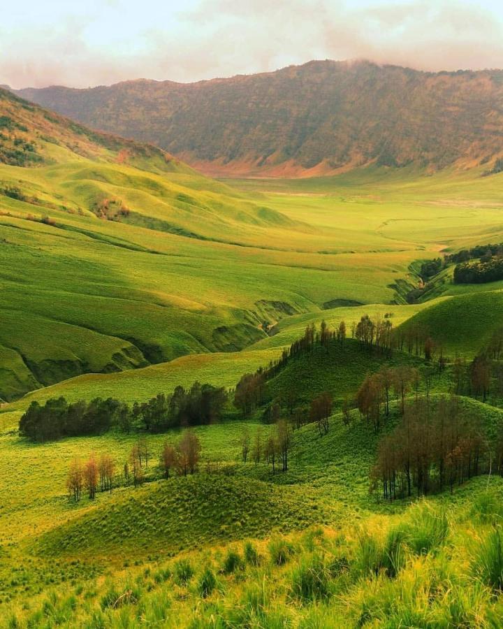 Good Karma Bromo Guesthouse Екстер'єр фото