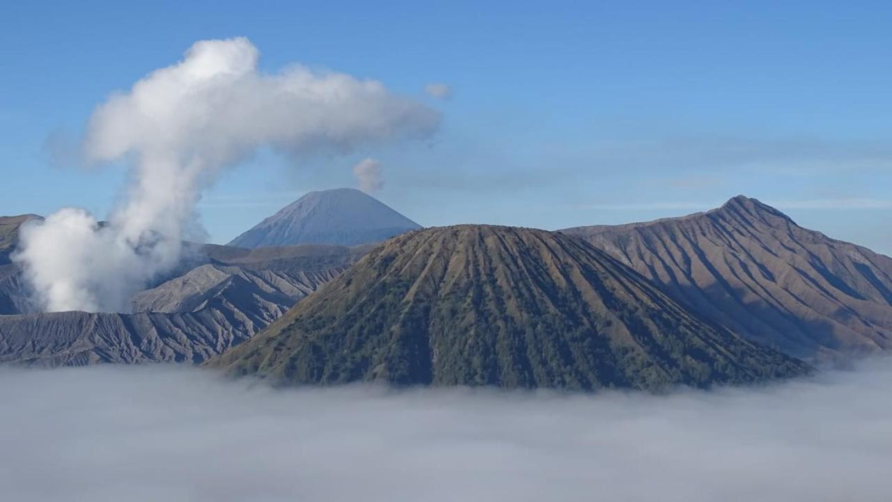 Good Karma Bromo Guesthouse Екстер'єр фото