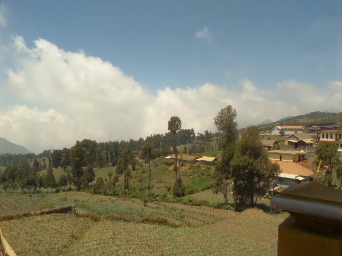Good Karma Bromo Guesthouse Екстер'єр фото